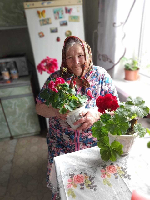 Комнатные растения — это больше, чем просто элемент декора.